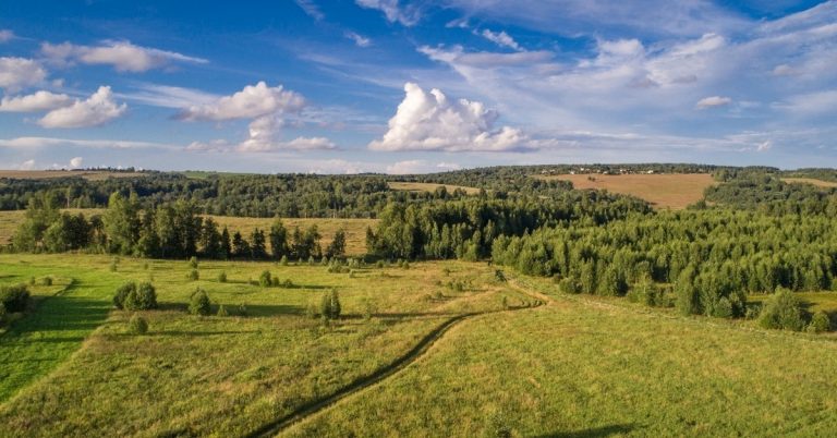 На благо жителей, в защиту леса