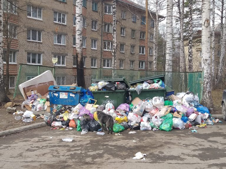 Смена регоператора на ООО «ЭкоПарк»: ждём новый мусорный коллапс или есть шанс на порядок?