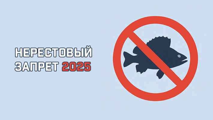 Внимание, нерест!