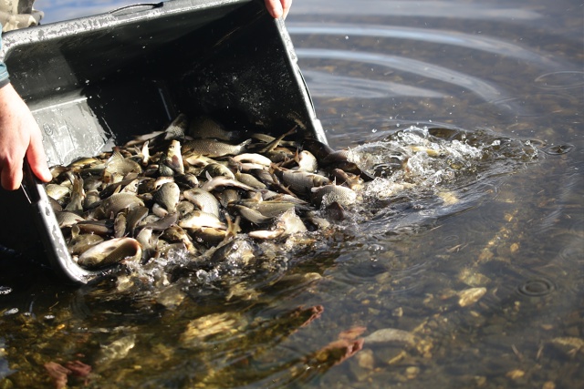 g2QSE3KwOo3M-w9V5LoVCHQ3WFqzGL5ULHUv2juucfEoftHrjlTe1ZF2heYvbDIjome3rwufasP90uNjhU_thEVt