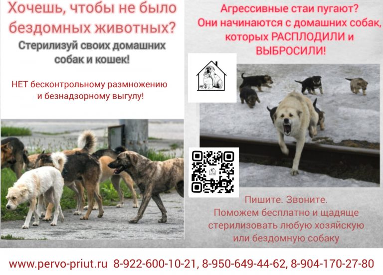 ‼ВНИМАНИЕ, Новоуральск и окрестности!‼