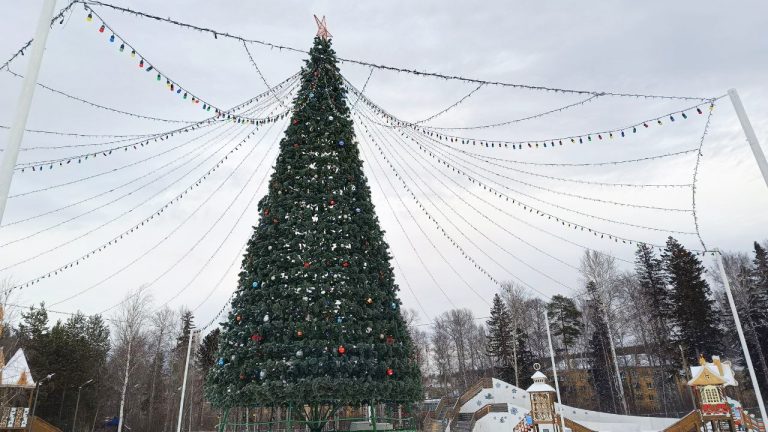 Ледовому городку – быть!