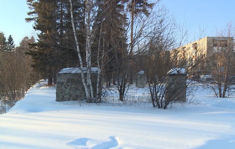 Выбор сделан!