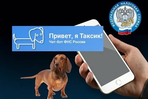 картинка_чат-бот