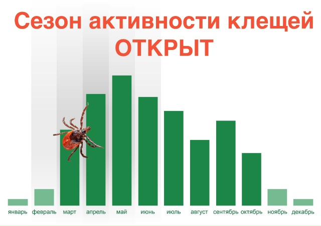 Приглашаем на вакцинацию!