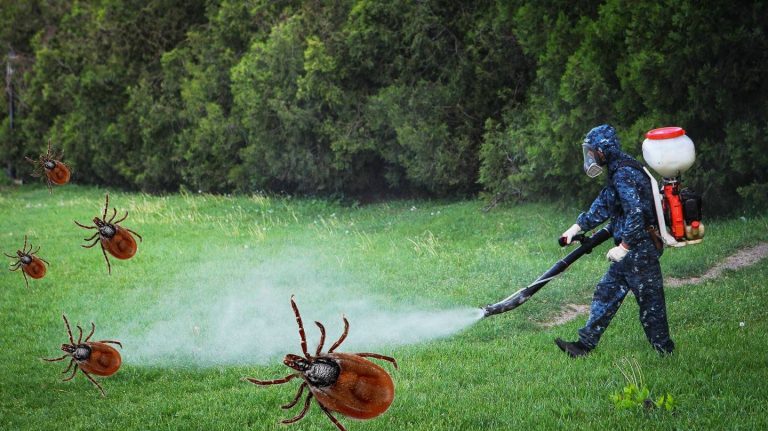 В Новоуральске начинается масштабная обработка от клещей