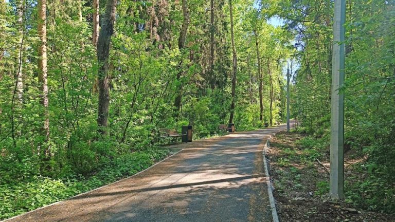 Старый Новый парк – в высокой степени готовности